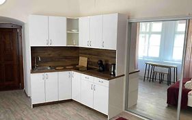 Studio In Gothic House, 50M To The Old Town Square